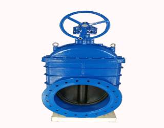 �l�y��ʲô��(hu��)���F(xi��n)�ܷⲻ��(y��n)�F(xi��n)��